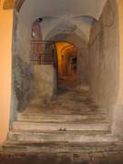 IMG_0798_2.jpg.tn.jpg