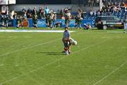 IMG_2890.jpg.tn.jpg
