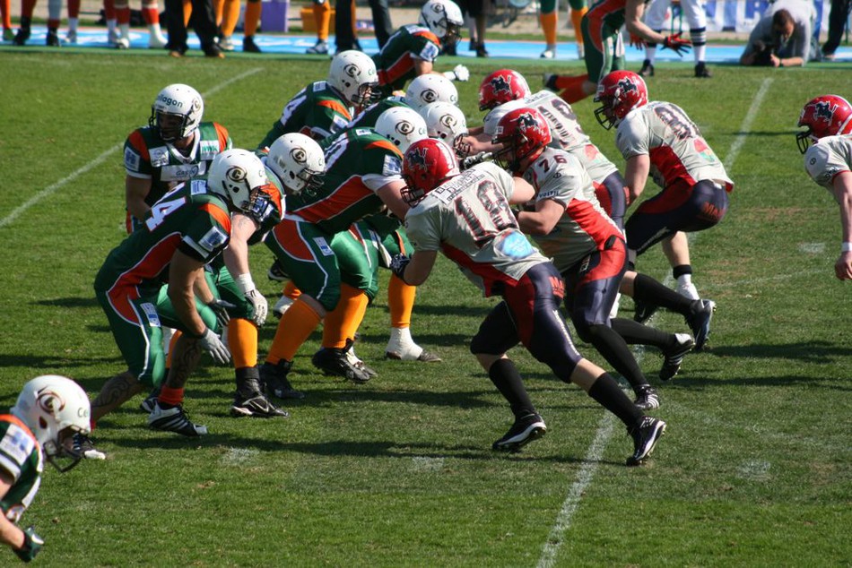 IMG_2907.jpg.big.jpg