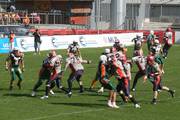 IMG_2941.jpg.tn.jpg