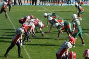 IMG_2995.jpg.tn.jpg