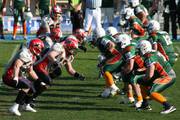 IMG_3026.jpg.tn.jpg