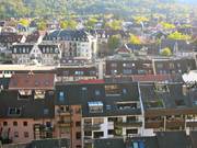 IMG_0984.jpg.tn.jpg