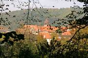 IMG_3802.jpg.tn.jpg