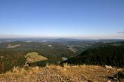 IMG_3864.jpg.tn.jpg