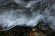 IMG_3910.jpg.tn.jpg