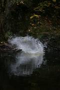 IMG_3942.jpg.tn.jpg
