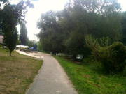 IMG_0928.JPG.tn.jpg