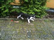./2012-08-30/IMG_0950.jpg.tn.jpg