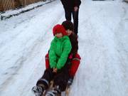 IMG_1119.jpg.tn.jpg