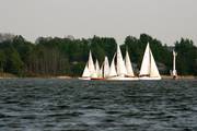 IMG_6380.jpg.tn.jpg