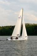 IMG_6408.jpg.tn.jpg