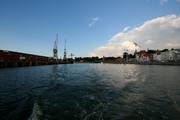 IMG_6626.jpg.tn.jpg
