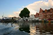 IMG_6641.jpg.tn.jpg