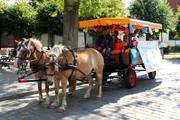 IMG_4414.jpg.tn.jpg