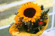 IMG_7670.jpg.tn.jpg