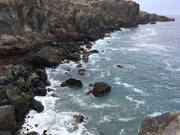 IMG_7708.jpg.tn.jpg