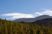 IMG_9257.jpg.tn.jpg