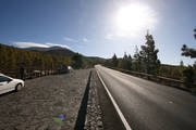 IMG_9263.jpg.tn.jpg
