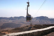 IMG_9307.jpg.tn.jpg