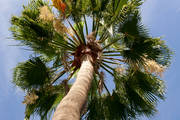 IMG_9353.jpg.tn.jpg
