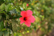 IMG_9364.jpg.tn.jpg