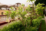 IMG_9426.jpg.tn.jpg