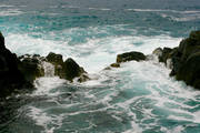 IMG_9468.jpg.tn.jpg