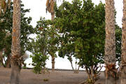 IMG_9516.jpg.tn.jpg