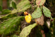 IMG_9518.jpg.tn.jpg